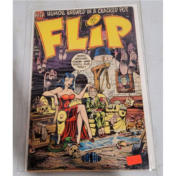 FLIP Comic Book