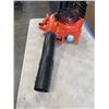 Image 2 : ECHO GAS BLOWER - WORKING