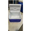 Image 3 : 2 COLEMAN COOLERS