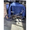 Image 4 : UNBRANDED CHROME BIKE