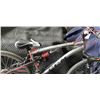 Image 3 : CCM BIKE