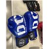 Image 3 : ASSORTED BOXING GLOVES AND TRAINING BELT