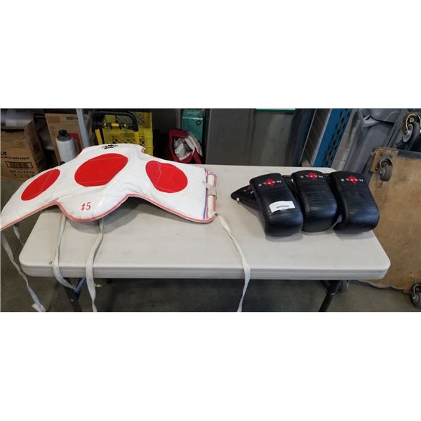 ASSORTED BOXING GLOVES