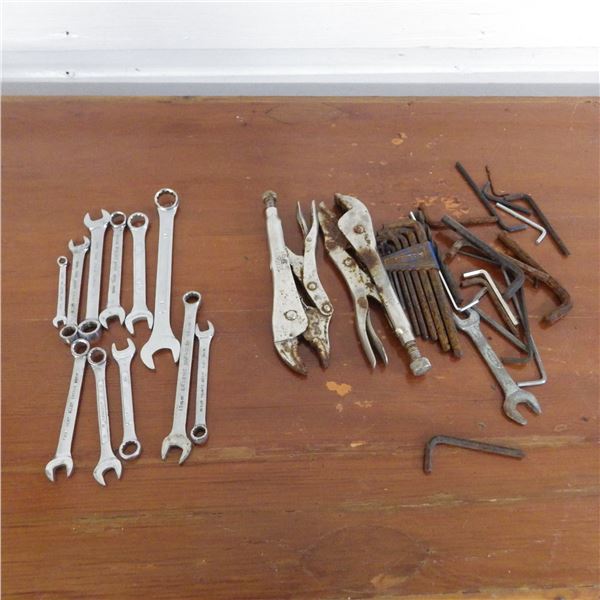 vice grips, and miscellaneous wrenches  mostly metric