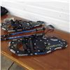 Image 4 : outbound snowshoes