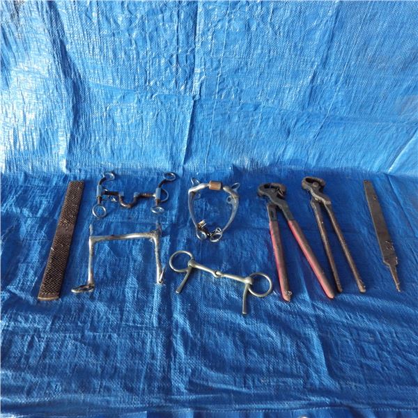 horse items -- Bits, Hoofers trimmers , files and set of horse leg boots