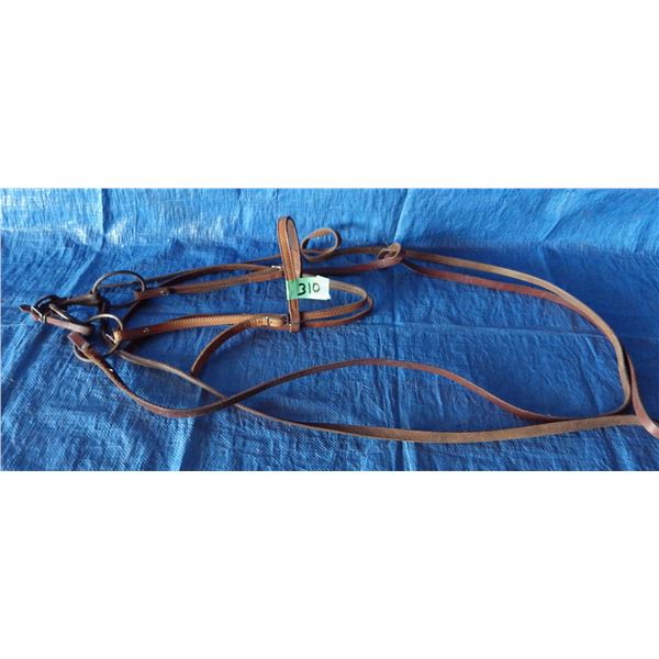horse bridle