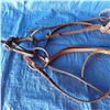 Image 2 : horse bridle