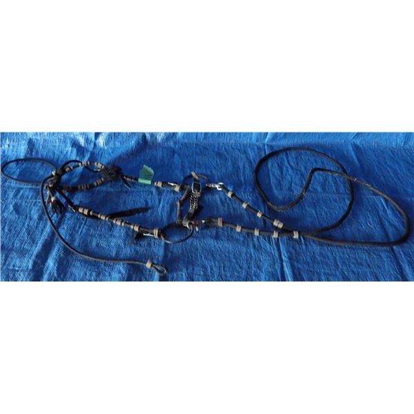 horse bridle