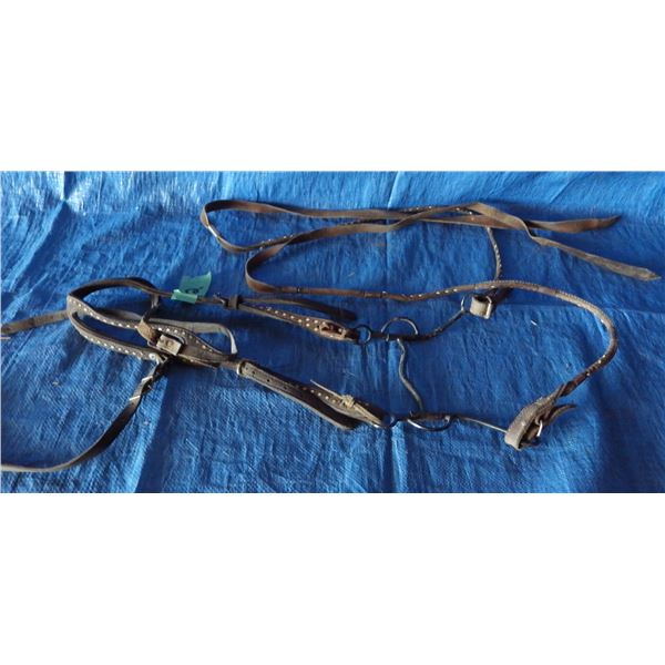 horse bridle