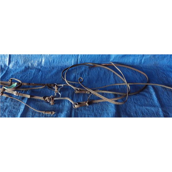 horse bridle