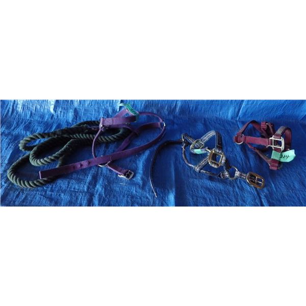 Animal halters