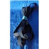 Image 1 : longe line - 50 feet