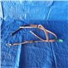 Image 1 : halter