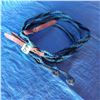 Image 2 : lead ropes
