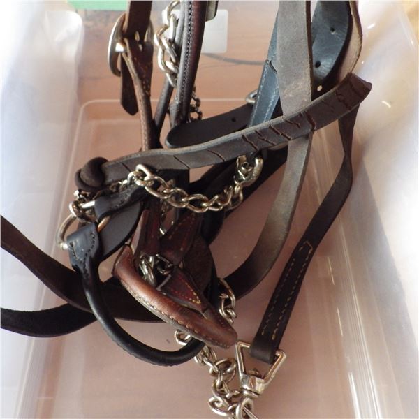 lot of halters