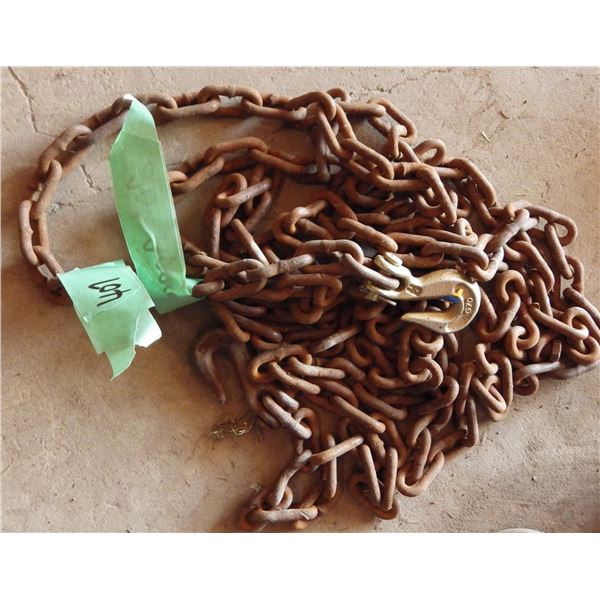 approximately 20 foot chain with hooks