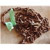 Image 1 : approximately 20 foot chain with hooks
