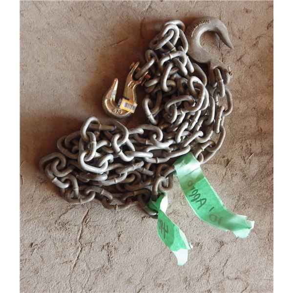 approximately 10 foot chain with hooks