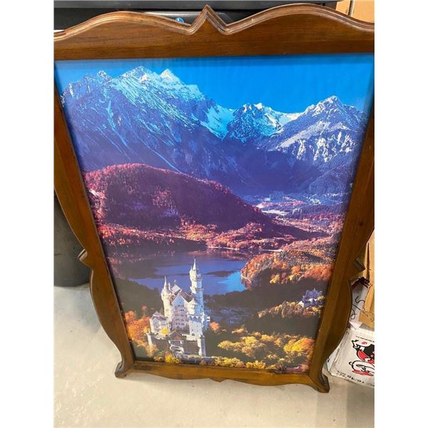 LARGE PICTURE