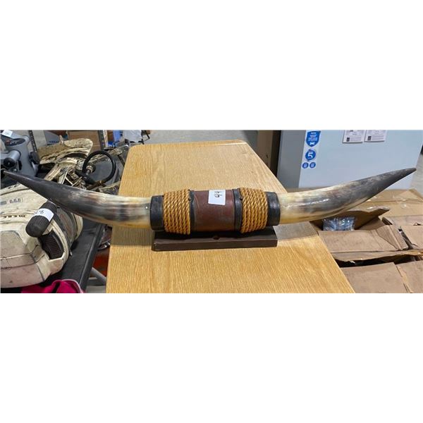 SET OF COW HORNS