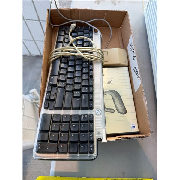 Vintage, Apple products