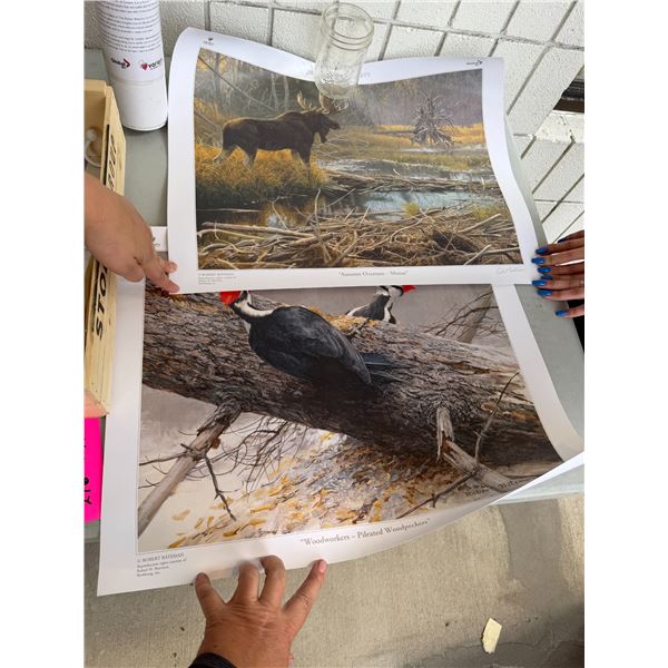 Robert Bateman variety club posters