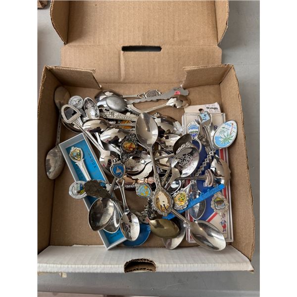 Collector spoon