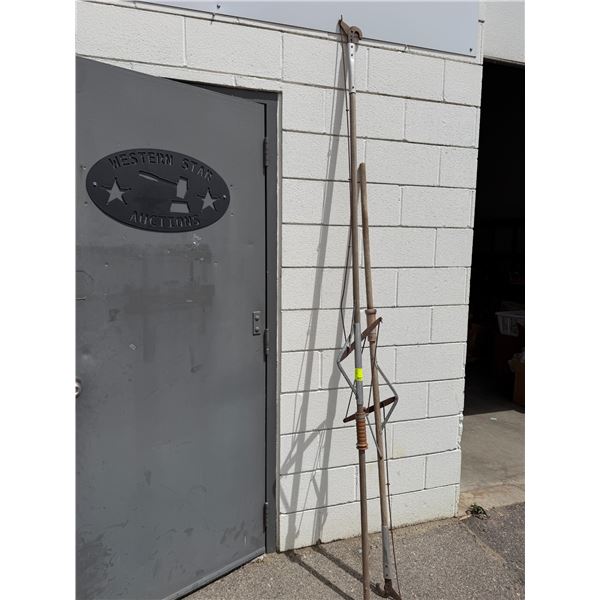 Pruning poles