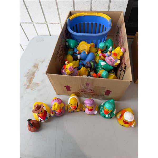 Ducks