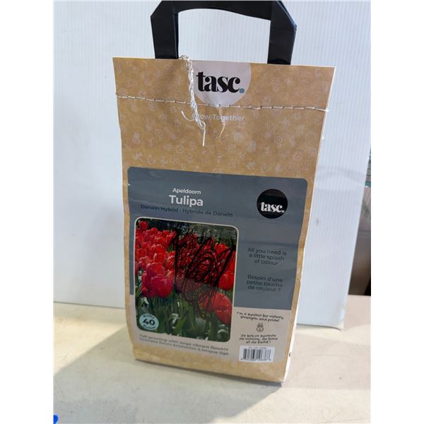 New tulip bulbs