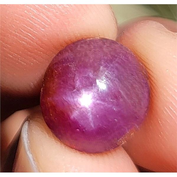 4.89 ct Certified Burmese Star Ruby gemstone Untreated ($5,868 Appraisal)