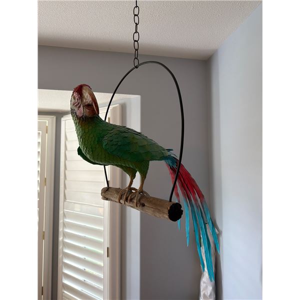 Parrot decor