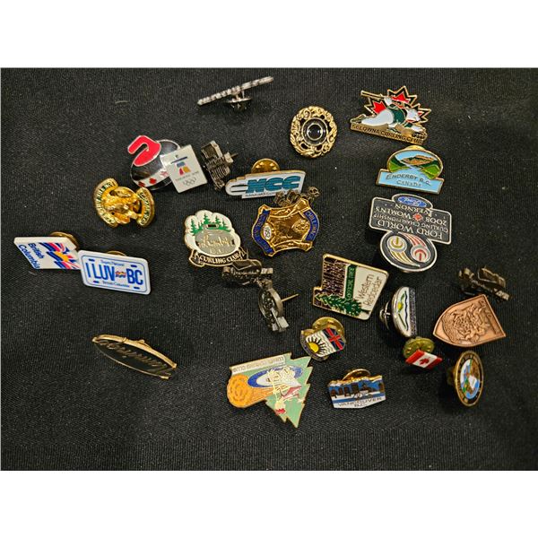 Assorted pins