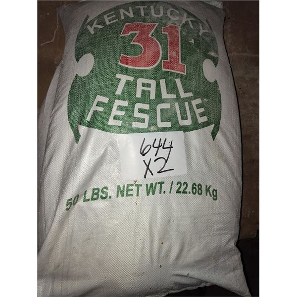 KENTUCKY 31 TALL FESCUE 50LB BAGS