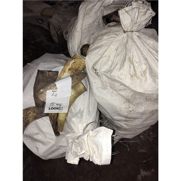 SALES LOT OF 3 BAGS OF CATTLE HORNS ( DOG CHEWS/ DECORATION)  APRX 100 OR MORE