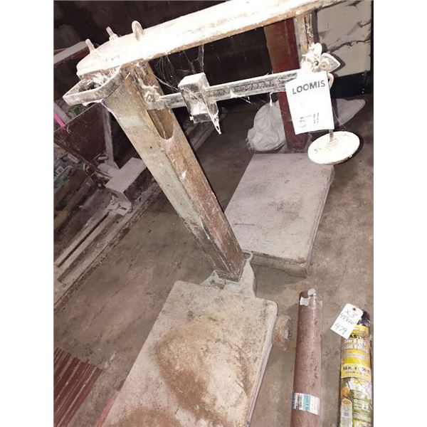 PLATFORM SCALES