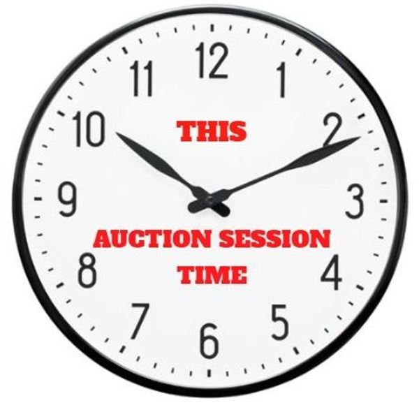 AUCTION TIME: APPROX 3 HOURS