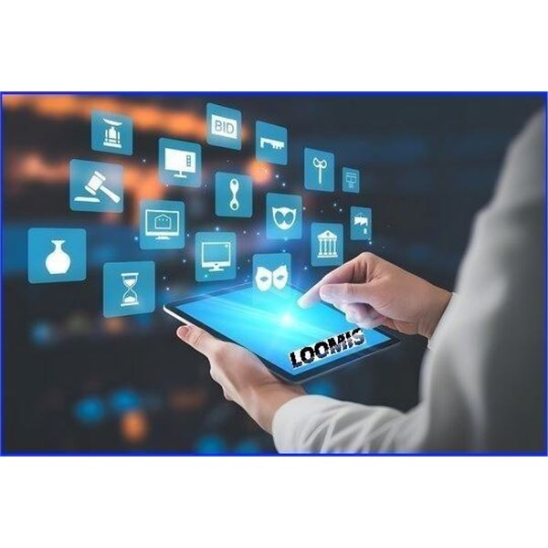 ONLINE BIDDING INFO