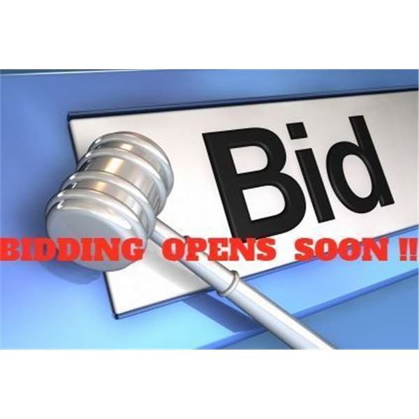 BIDDING FOR THIS AUCTION OPENS ON SEPT 15TH