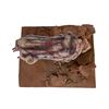 Image 3 : Evolution (2001) (Phil Tippett Collection) - Amoeba Monster Painted Maquette