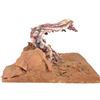 Image 4 : Evolution (2001) (Phil Tippett Collection) - Amoeba Monster Painted Maquette