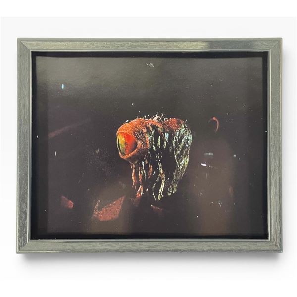 Star Wars: Episode IV - A New Hope (1977) - Phil Tippett Signed Production Still - Dianoga Monster