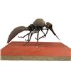 Image 4 : Evolution (2001) (Phil Tippett Collection) - Flying Bug Monster Painted Maquette
