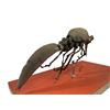 Image 5 : Evolution (2001) (Phil Tippett Collection) - Flying Bug Monster Painted Maquette