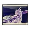 Image 1 : DragonHeart (1996) - Phil Tippett Signed Production Still - Lot C