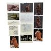 Image 1 : The Spiderwick Chronicles (2008) - Concept Art