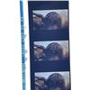 Image 3 : Starship Troopers (Phil Tippett Collection 1997) - Visual Effects Reels and Signed Toy - Lot E