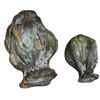 Image 1 : Star Wars - The Acolyte (2024) - Exploding Seed Pods