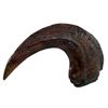 Image 2 : Jurassic Park (1993) - Velociraptor Claw